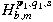 $H^{p_1,q_1,s} _{b,m}$